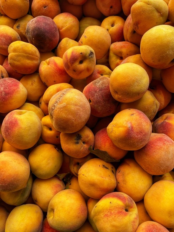 Comment organiser une expédition de pêche au saumon en Norvège à petit prix ?